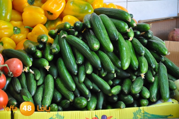 markaz khodare 3 (13).JPG